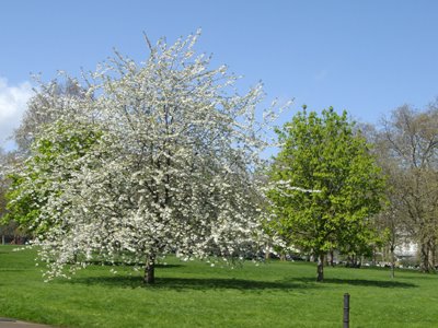 IMGP3231